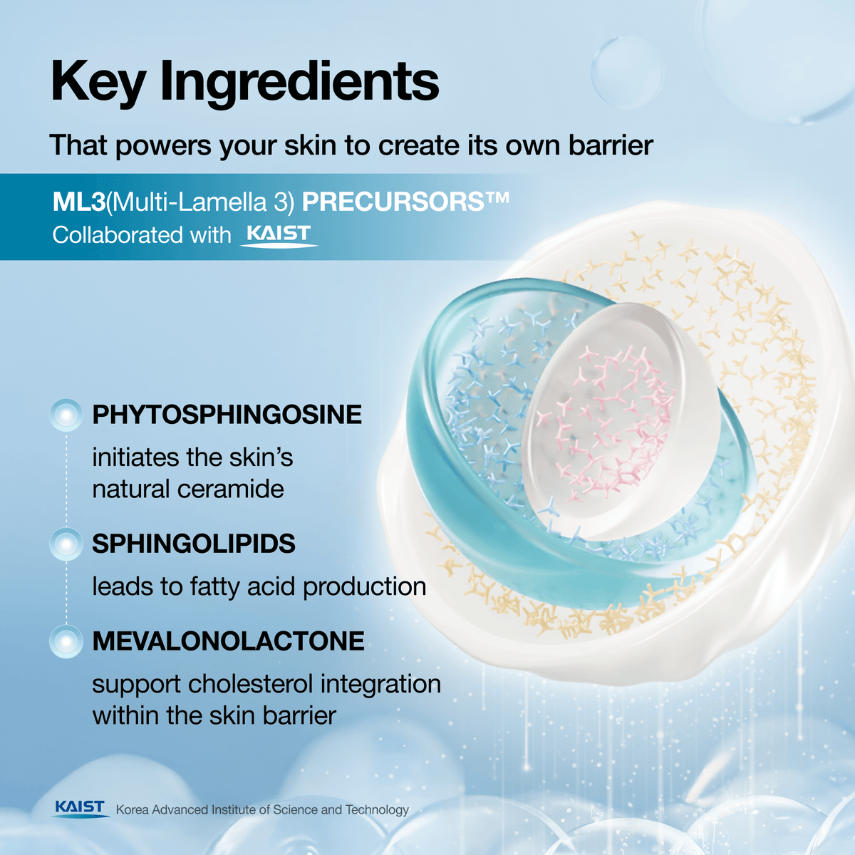 Clear Skin Essentials Set